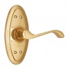 "Jeconiah" Brass Door Handle with Plate 